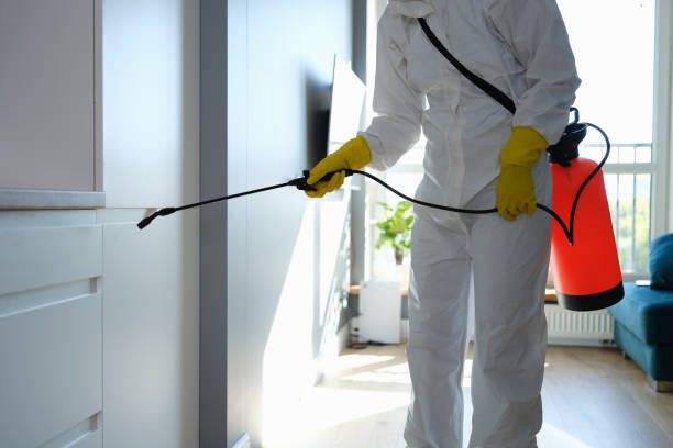 Best Crawl Space Mold Remediation  in Berryville, TX