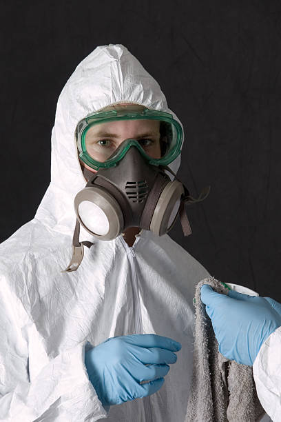 Mold Removal for HVAC Installations in Berryville, TX